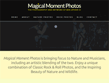 Tablet Screenshot of magicalmomentphotos.com